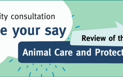 Suggested Answers for Review of the Animal Care and Protection Act 2001